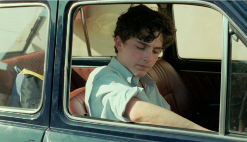 thelittlefreakazoidthatcould: Call Me by Your Name (2017) // dir. Luca Guadagnino