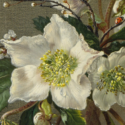 florealegiardini:Christmas Roses (detail), Cecil Kennedy (British, 1905-1997)