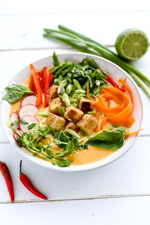 Warm up with a bowl of this spicy + creamy red coconut curry soup complete with fresh toppings and c