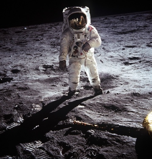 coldlikedeath: humanoidhistory: July 20, 1969 – While Neil Armstrong was taking a picture of B