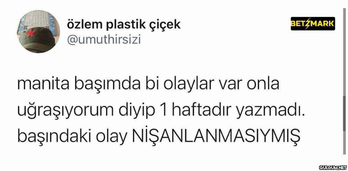 özlem plastik çiçek...