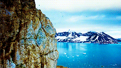   To the Arctic 3D (2012)  