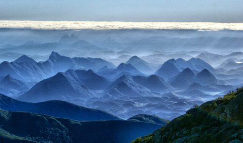 the-seraphic-book-of-eloy:  Caparaó National Park is a park located on the border between Minas Gerais and Espírito Santo states in Brazil. Pico da Bandeira, one of the highest mountains in Brazil. [ + ] 