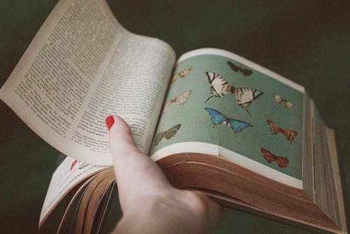 petalier:  @WeHeartIt /entry/126883075 