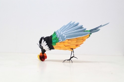 mayahan:  Paper Birds by Diana Beltran Herrera adult photos