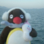 aizzp