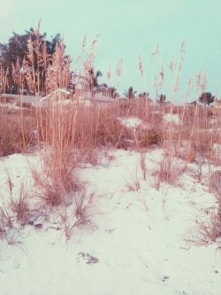 cannibalkween:  The beach was so nice today