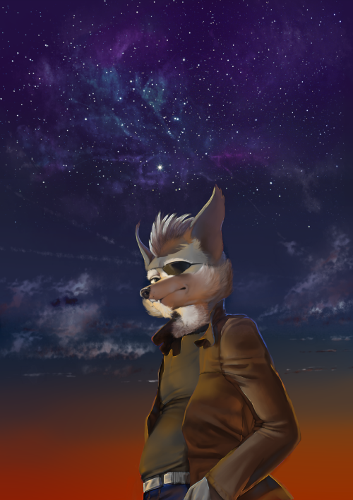 Porn starfoxtheanimatedseries:  Wonderful, wonderful photos