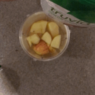 102 Calorie ICY GREEN TEA APPLE CINNAMON SUPER CLEANSE ✨
