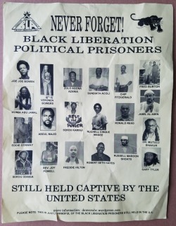 Queeranarchism:  Radicalarchive: ‘Never Forget! Black Liberation Political Prisoners