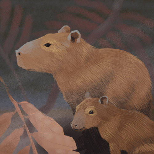 You know who’s got it figured out? Capybaras. Chillest animal, even just in a diorama.Based on