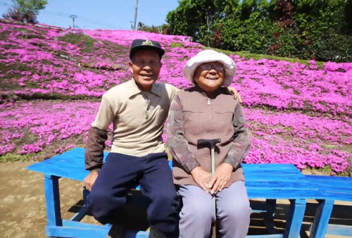 love:This loving husband spent two years planting thousands of flowers for his blind wife to smell. 