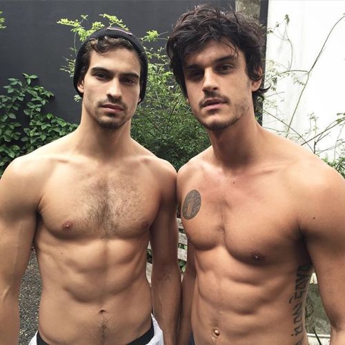 InstaPerfeitos
