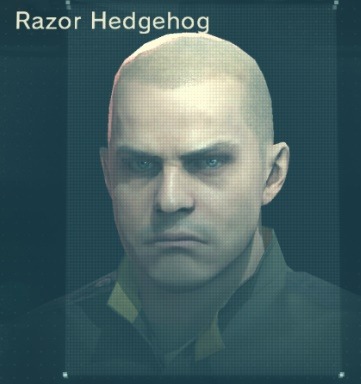 ssjgssjgoku:  this dude chose the name of his sonic oc for his codename and all the