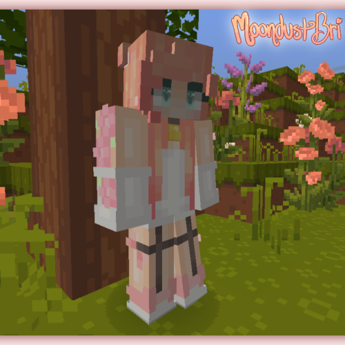 hdhdhd  Minecraft Skins