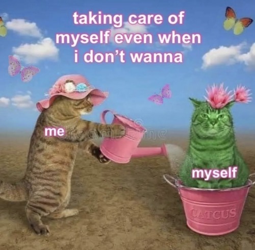 dankmemeuniversity: