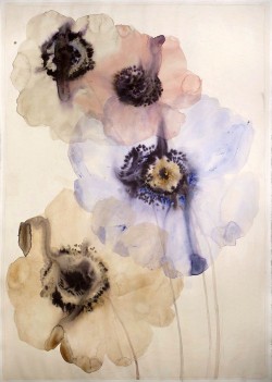 vjeranski:  Lourdes Sanchez4 anemones, 2014SANCH184watercolor,