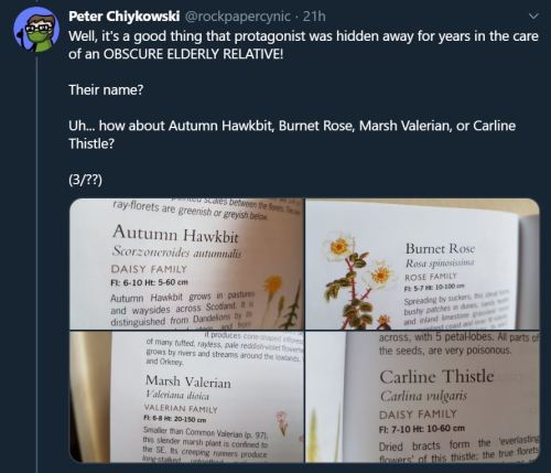 I decided to write a TERF-free Harry Potter knockoff using only the names of Scottish wildflowers an