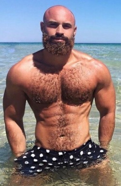 Follow my two hairy men blogs:http://sambrcln.tumblr.comhttp://hairysex.tumblr.com