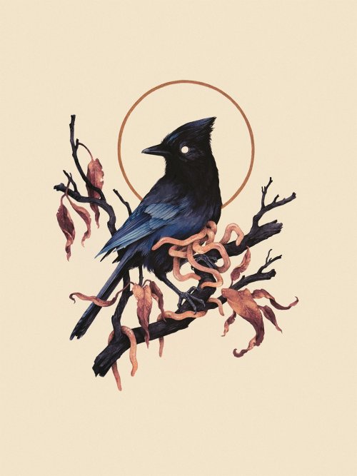 ex0skeletal-undead:Birds by Teagan WhiteThis artist on Instagram // Shop