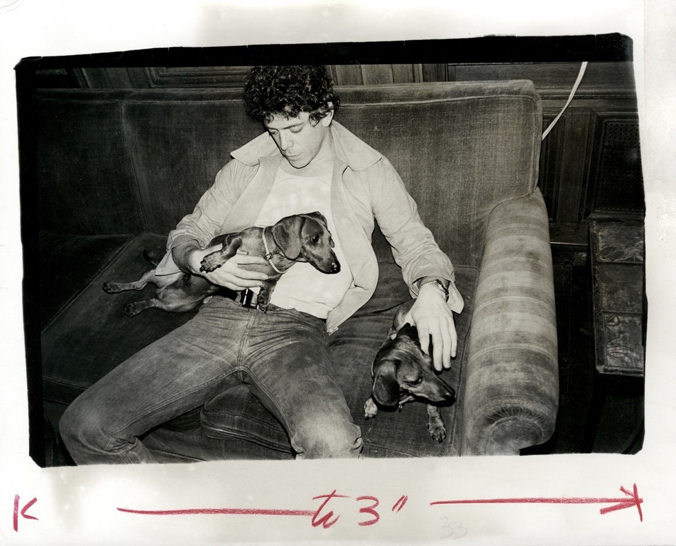 everythingloureed:Andy Warhol photo of Lou holding pet dachshunds Archie and Amos,