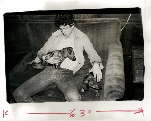 everythingloureed:Andy Warhol photo of Lou holding pet dachshunds Archie and Amos, 1976.