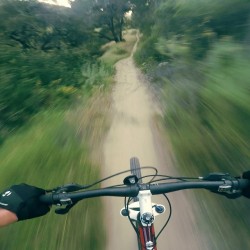 mountainbikingactionshots:  RG @rickmob86: Riding the canyon #mountainbiking #mtb #mountain  http://ift.tt/1EOjxKu