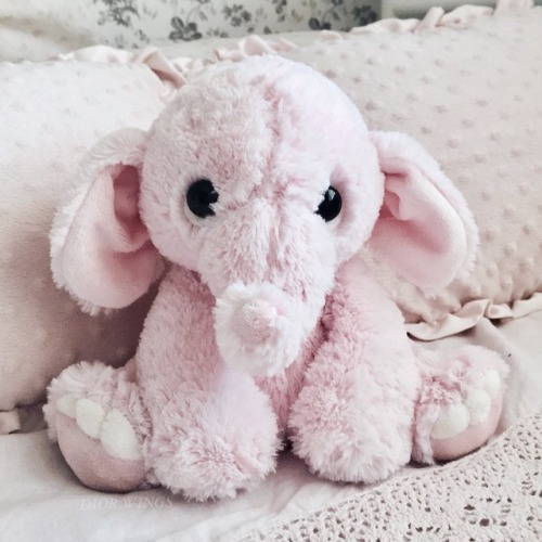 la-petitefille: i’m so in love with this little guy! ♡