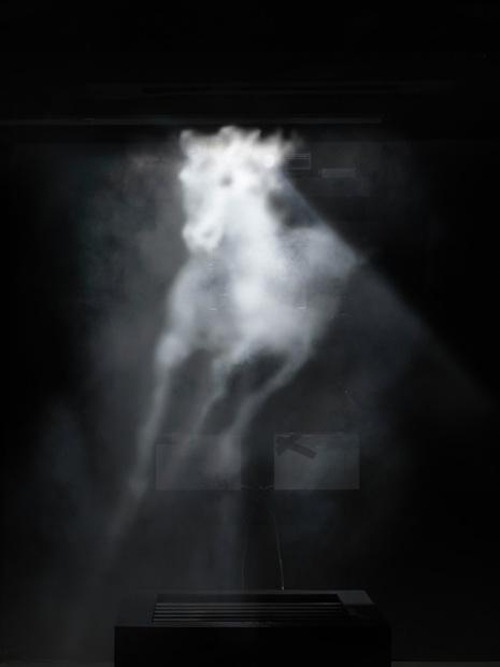 hotbiochemist:free-parking:Banks Violette, Untitled (Tristar Horse), 2008video projection on water v