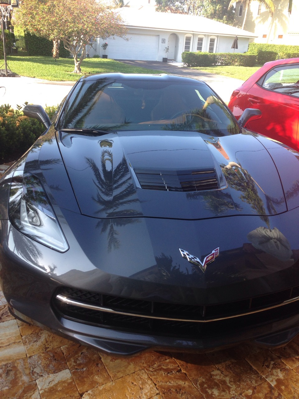 gnarlystuffd00d:  new ride