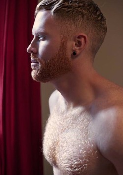 gingermanoftheday: March 19th 2017  http://gingermanoftheday.tumblr.com/