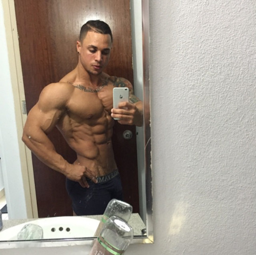 Adonis Files