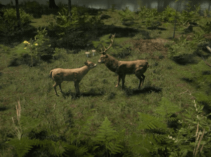 Natural Instincts is a simulation/strategy game where you command animals to help them survive the m