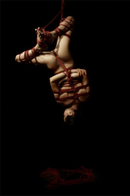 Ballerina Bondage Fairies