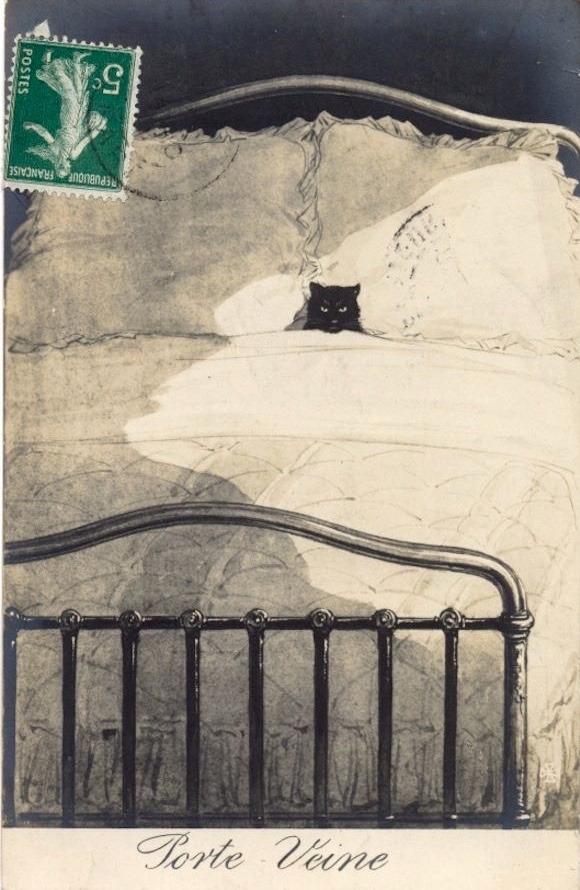 vintage French postcard of a small black cat laying in a large white bed