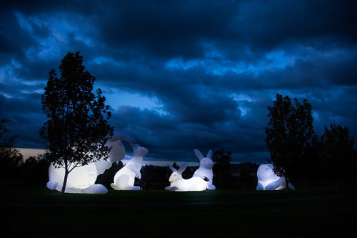 staceythinx: Giant inflatable rabbit installations by artist Amanda Perer