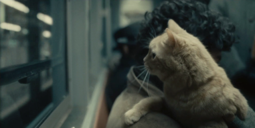 inside llewyn davis