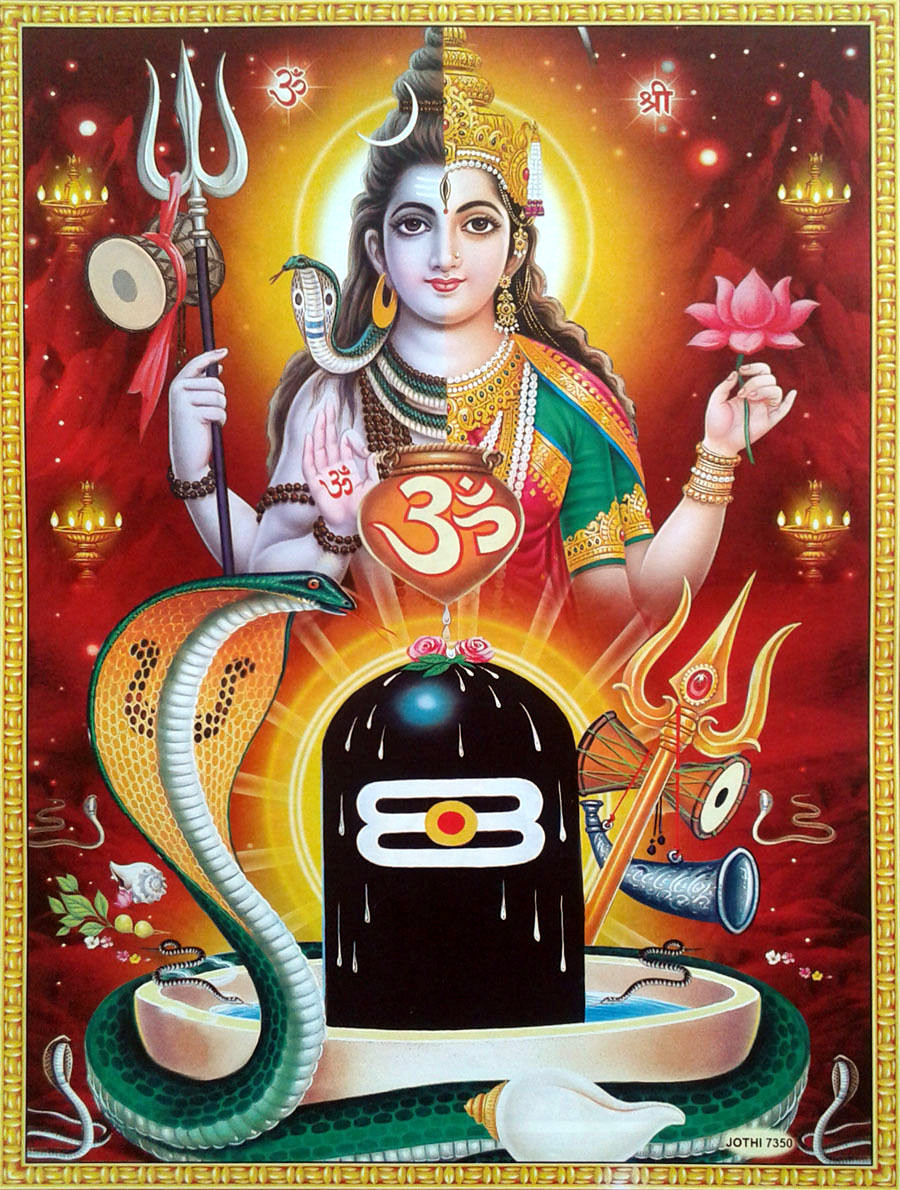 Hindu Cosmos - Shiva Parvati - Ardhanarishvara (via ebay:...