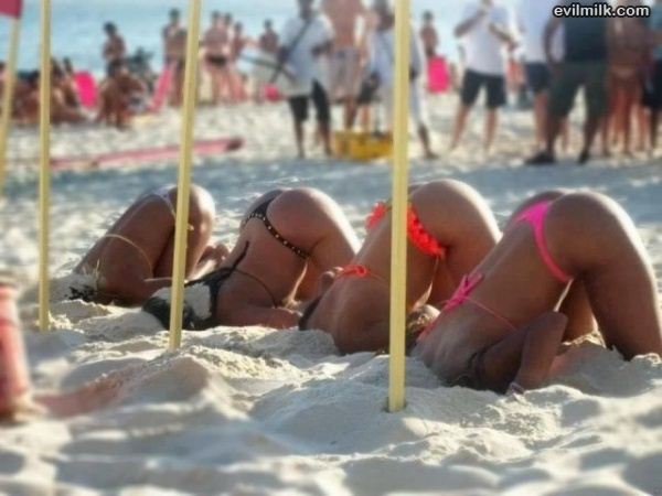 &hellip;. if women were plants they&rsquo;d grow just like that&hellip;