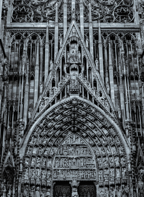eslamelshatby:  Gothic Festival 
