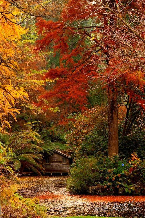 fancitaste:  Fall photography on We Heart It - http://weheartit.com/entry/76931938 