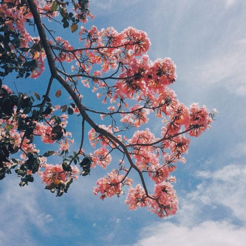 sleeepinglover: via weheartit