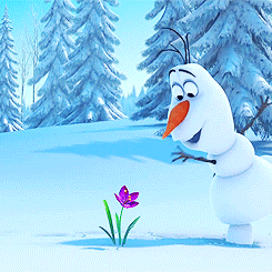 ddlgblog:is this frozen 2?