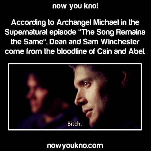 nowyoukno:  Source for more like this follow NowYouKnoFor more Supernatural facts click here!