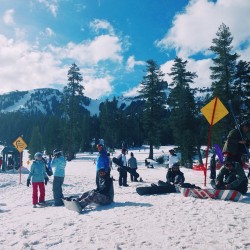 cookthechef:  Dat Tahoe blue doe (at Kirkwood