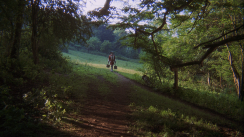 laultimaola:Barry Lyndon (Stanley Kubrick, 1975)