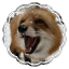 punkedupqueer