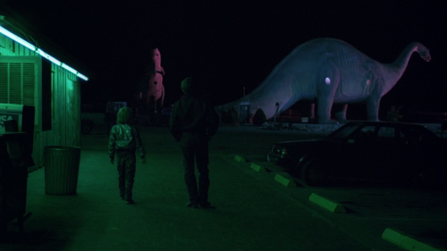 Sex nocorepunk:  Paris, Texas (dir. Wim Wenders, pictures