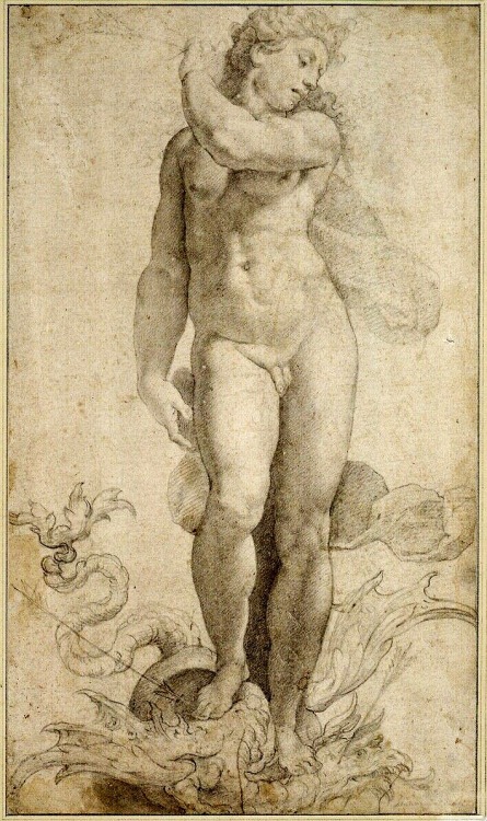 hadrian6: Apollo Standing on the Dragon Python. 16th.century.  Francesco de Rossi, called Salviati (artist) (Florence 1510 - 1563 Rome).  http://hadrian6.tumblr.com