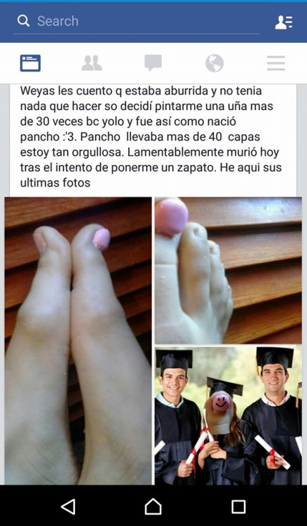 peloencarnado:  puta-mierda-de-vida:  QEPD Pancho.   nunca reblogueo cosas weonasweonas, pero me reí tres horas, quizá porque estoy en tolueno sadfsgfd